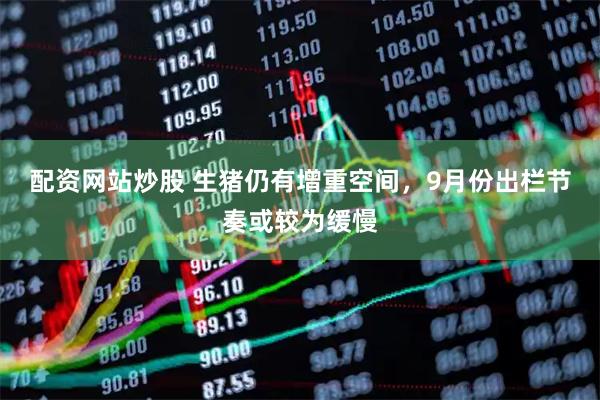 配资网站炒股 生猪仍有增重空间，9月份出栏节奏或较为缓慢